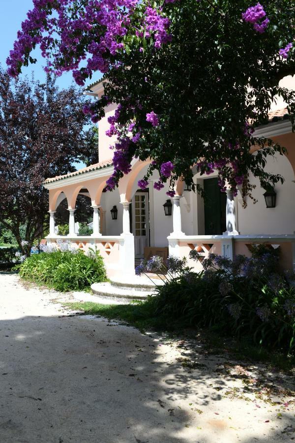 Quinta Da Fogueira Villa Anadia Exteriör bild
