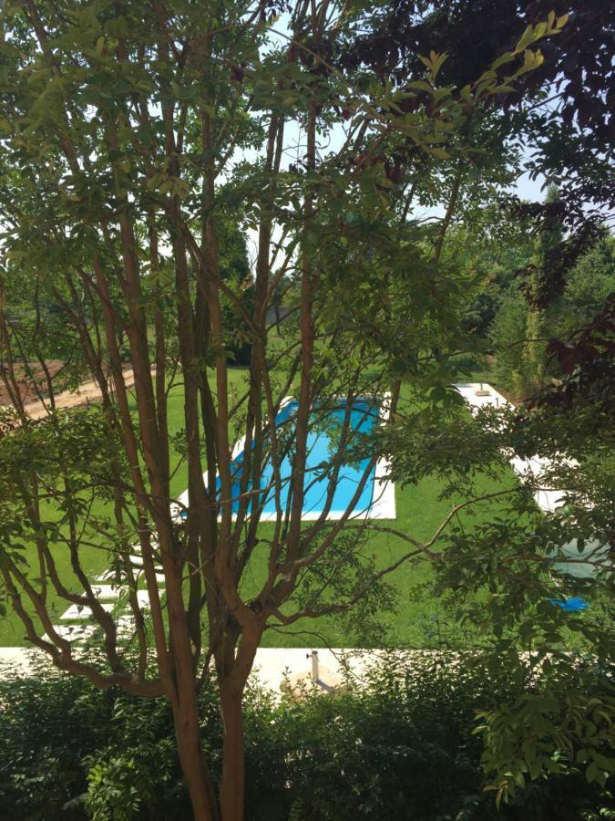 Quinta Da Fogueira Villa Anadia Exteriör bild